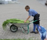 Подготовка праздничной дорожки