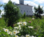 Июнь 2009 года