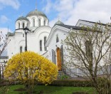 Праздник в честь иконы Божией Матери Живоносный Источник