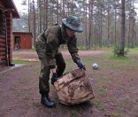 Заготовка дров