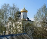 И кругом леса зазеленели... Апрель 2009 года