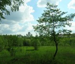 Монастырь в мае