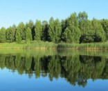 Поход Воскресной школы