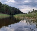 Поход воскресной школы в «Красный Бор»