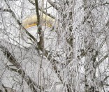21-Зима в обители преподобной Евфросинии Полоцкой