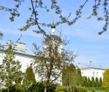 Весна в монастыре