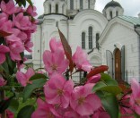 Кресто-Воздвиженский собор