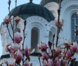 Весна в монастыре