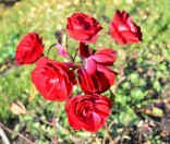 Осень в монастыре