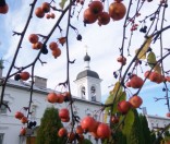 Осень в монастыре