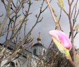 Празднование иконы Пресвятой Богородицы «Живоносный Источник» в Полоцкой обители