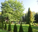 Осень в монастыре