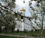 Май 2009 года