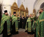 Праздник Входа Господня в Иерусалим