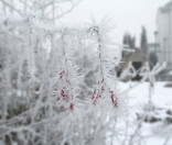 20-Зима в обители преподобной Евфросинии Полоцкой