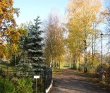 Дорожка в сад. Осень 2012 года