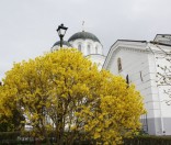 Празднование иконы Пресвятой Богородицы «Живоносный Источник» в Полоцкой обители