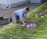 Праздничная дорожка