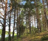 Поход воскресной школы в «Красный Бор»