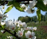 Вид из монастырского сада. Май 2009 года