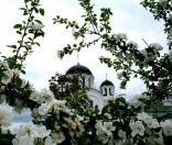 Май 2009 года