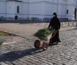 Подготовка праздничной дорожки