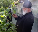 Экскурсия по монастырскому саду