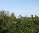 Вид на монастырь с горки 