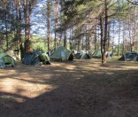 утро в Красном бору