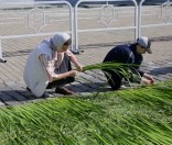Подготовка праздничной дорожки