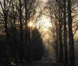Праздник Входа Господня в Иерусалим