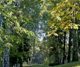 Осень в монастыре