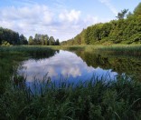 Утром