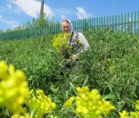 Участие детей воскресной школы в подготовке и проведении праздника прп. Евфросинии Полоцкой