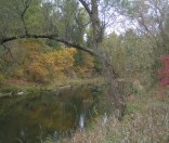 Осень