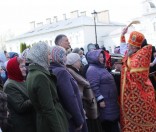 Праздник в честь иконы Божией Матери Живоносный Источник