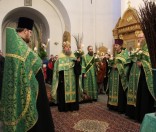 Праздник Входа Господня в Иерусалим